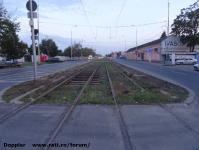 Imagine atasata: Stefan cel Mare - 2014.09.19 - 04.jpg